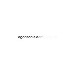 Museo Egon Schiele Art Centrum: Experiencia Artística en Austria