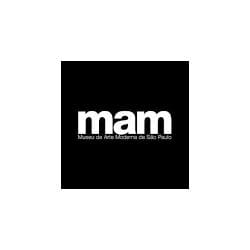 MAM São Paulo: Descubre el arte moderno y contemporáneo en la mayor galería de Brasil