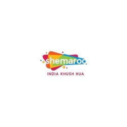 Museo Shemaroo: Exposiciones y Colecciones de Arte en la India