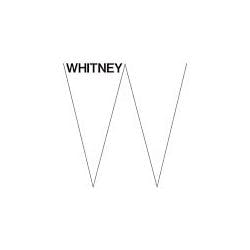 Museo Whitney Museum of American Art: Colecciones y Exposiciones de arte estadounidense